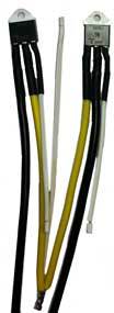 Titan SCR